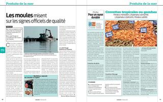 Page 60 et 61