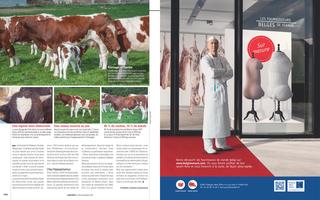 Page 144 et 145