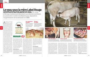 Page 116 et 117