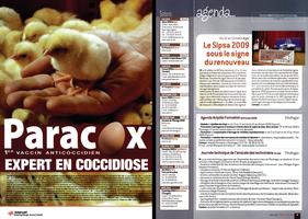Page 2 et 3