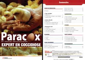 Page C2 et C3