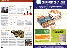 Page 154 et 155