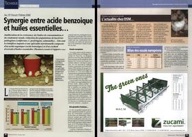 Page 50 et 51