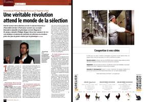 Page 52 et 53