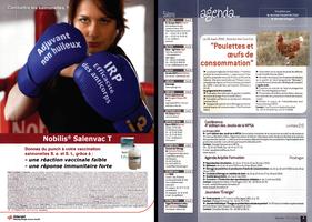 Page 2 et 3