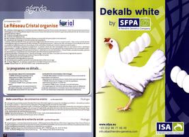 Page 4 et 5
