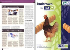 Page 20 et 21