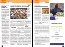 Page 20 et 21