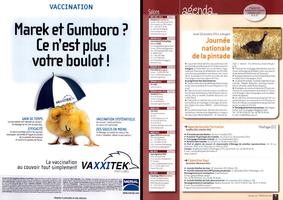 Page 2 et 3