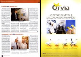 Page 34 et 35