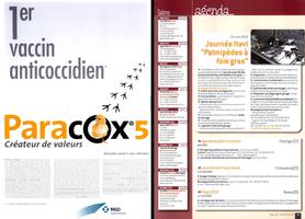 Page 2 et 3