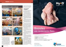 Page 54 et 55