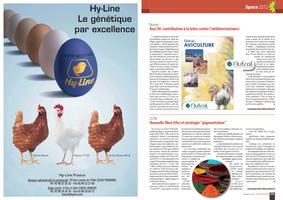 Page 140 et 141