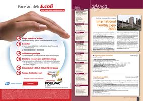 Page 2 et 3