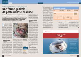 Page 48 et 49