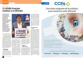 Page 16 et 17