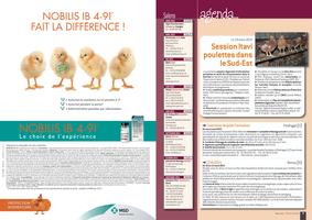 Page 2 et 3