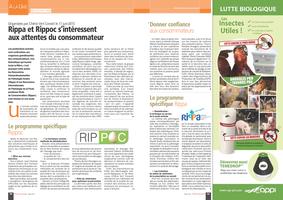 Page 10 et 11