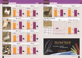 Page 24 et 25