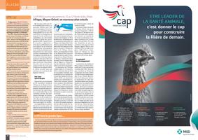 Page 14 et 15