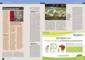 Page 142 et 143