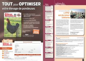 Page 4 et 5