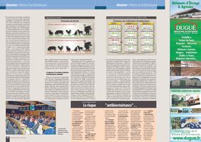 Page 98 et 99