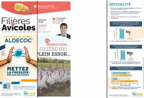 Page 2 et 3