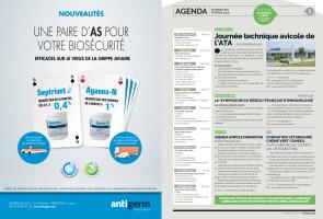 Page 4 et 5