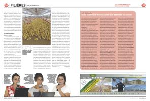 Page 36 et 37