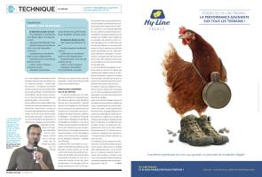 Page 126 et 127