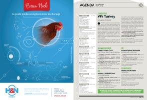 Page 2 et 3
