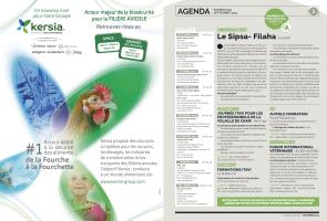 Page 4 et 5