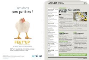 Page 2 et 3