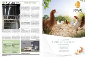 Page 16 et 17