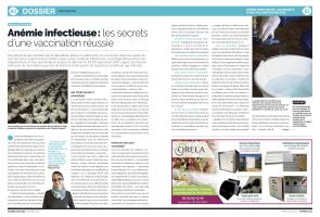 Page 80 et 81