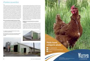 Page 14 et 15