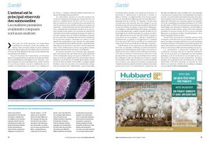 Page 14 et 15