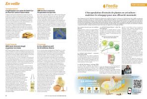 Page 12 et 13