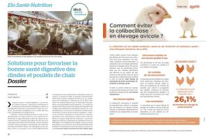 Page 20 et 21