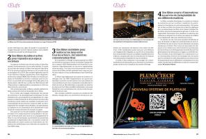 Page 86 et 87