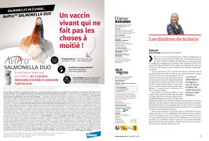 Page 2 et 3
