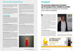 Page 24 et 25