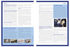 Page 54 et 55