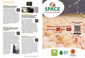 Page 20 et 21