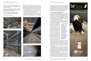 Page 76 et 77