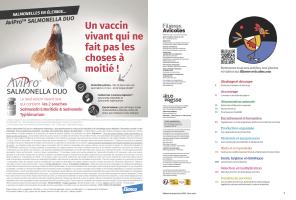 Page 2 et 3